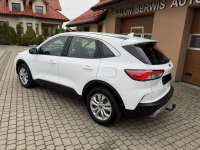 Ford Kuga 1,5 EcoBoost 120KM Orzech - zdjęcie 10