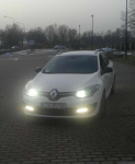 MEGANKA NA SPRZEDAŻ !!! Aleksandrów Łódzki - zdjęcie 12