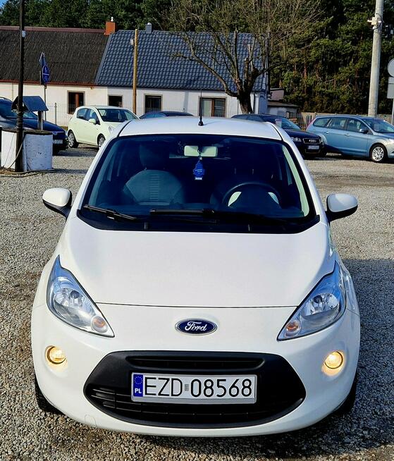 Ford KA Cukierek! Śliczny Stan! Rejestracja PL! Zduńska Wola - zdjęcie 11