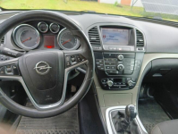 Opel Insignia Węgleszyn-Ogrody - zdjęcie 6