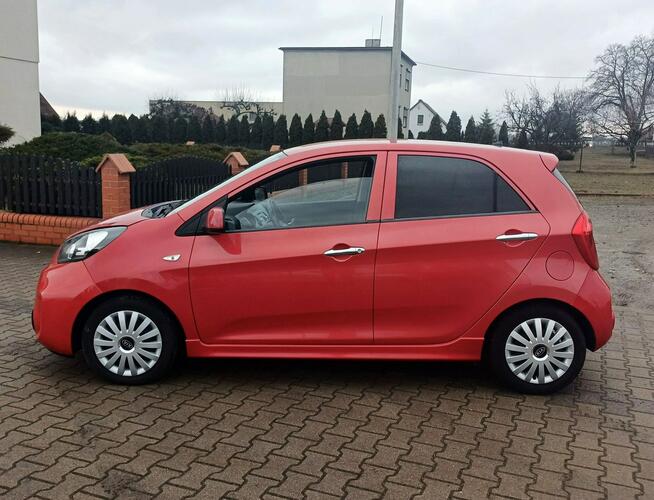 Kia Picanto Klimatronic Podgrzewane fotele Suchorzew - zdjęcie 5