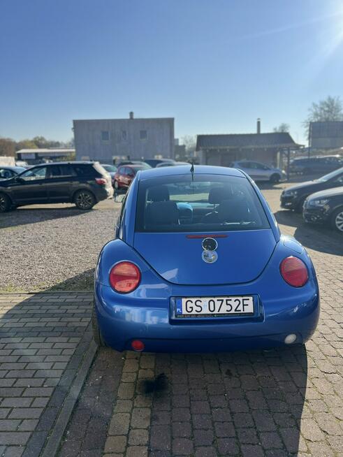 Volkswagen New Beetle Słupsk - zdjęcie 5