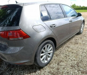 Volkswagen Golf 1.6 Tdi Pleszew - zdjęcie 4