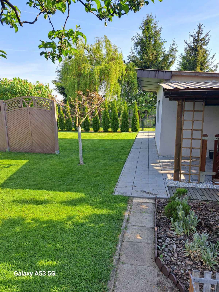 Sprzedam Turek - zdjęcie 3