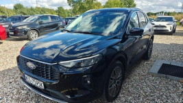 Ford Kuga // Winter// HYBRID// Niski przebieg// Ostrołęka - zdjęcie 2