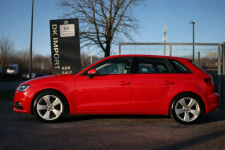 Audi A3 Sadlno - zdjęcie 4