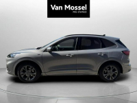 Ford Kuga Sadlno - zdjęcie 5