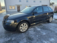 Audi A3 1,6Benzyna.Klimatronic 2 str.Tempomat.Alu.Hak.Serwis Kutno - zdjęcie 7