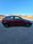 Audi A3 Klimatyzacja - 2003 - 2.0 TDI - 140KM Głogów - zdjęcie 4