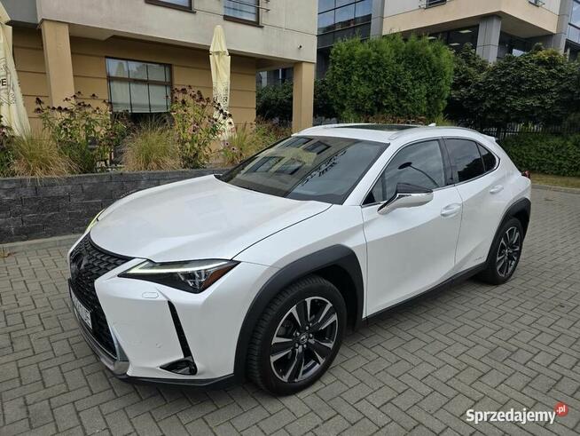Lexus UX 250H Omotenashi /Mark Levinson Lublin - zdjęcie 1