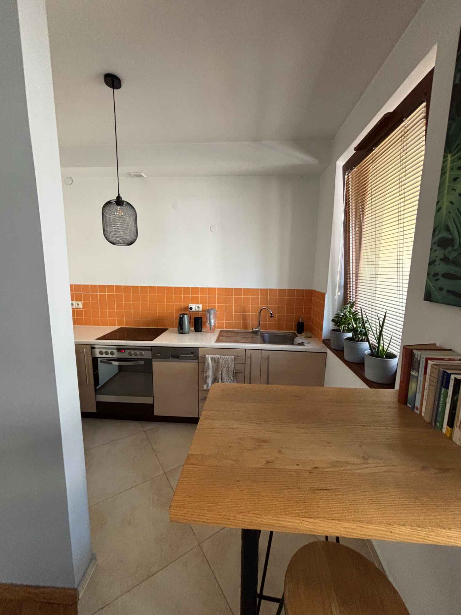 mieszkanie przy parku lotników Śródmieście - zdjęcie 5