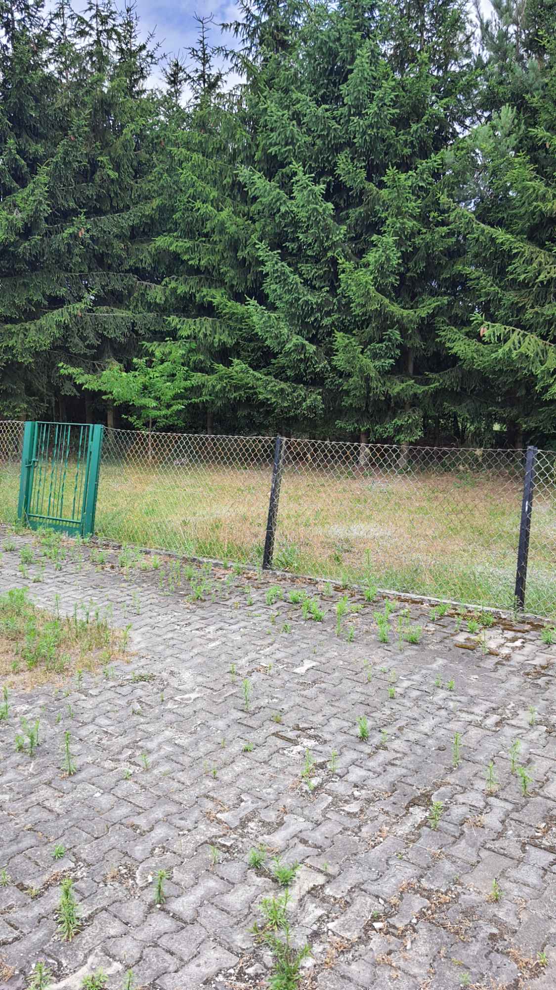 Sprzedam dom Mościska - zdjęcie 2