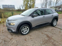 citroen c4 cactus Oborniki - zdjęcie 2