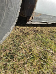 Peugeot 307 Majdan Królewski - zdjęcie 3