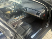 Jaguar XF Zielona Łąka - zdjęcie 7