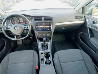 Volkswagen Golf Salon Polska Otwock - zdjęcie 11