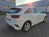 Kia Cee'd 1,5T-GDI 160 KM M Ostrów Wielkopolski - zdjęcie 5