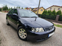 Audi A3 8L LIFT *5drzwi* 1.8 Turbo* 4900zł Ostrołęka - zdjęcie 4