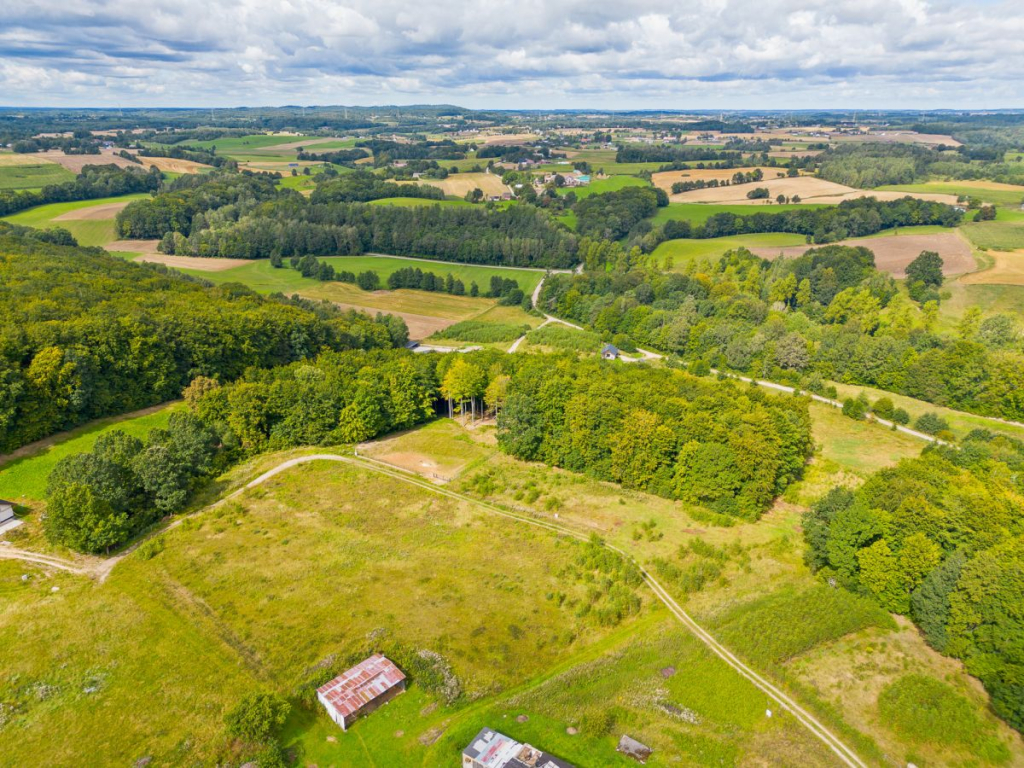 Malownicza okolica i prywatny las. Blisko jezioro Trzepowo - zdjęcie 1