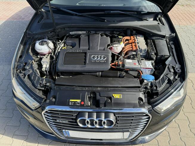Audi A3 E-Tron Zielona Łąka - zdjęcie 12