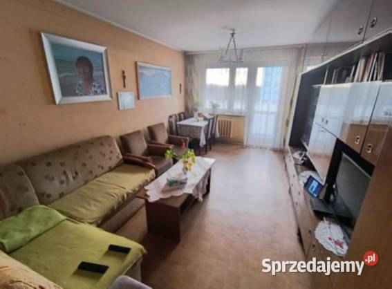 Syndyk sprzeda 1/8 udziału - Mieszkanie Sepno - zdjęcie 4