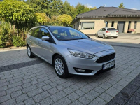 FORD FOCUS 1.6 115 KM EKONOMICZNY Strzegom - zdjęcie 3