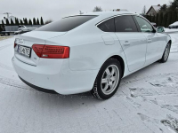 Audi A5 2,0tdi Navigacja.Skóry.Tempomat.Xenony.Ledy.Alu.kredyt! Kutno - zdjęcie 11