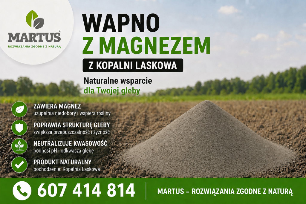 Wapno węglanowe z magnezem z Kopalni Laskowa Kłobuck - zdjęcie 1
