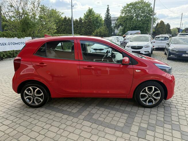 Kia Picanto 1,0 67KM  Klimatyzacja  Kamera  CarPlay Orzech - zdjęcie 5