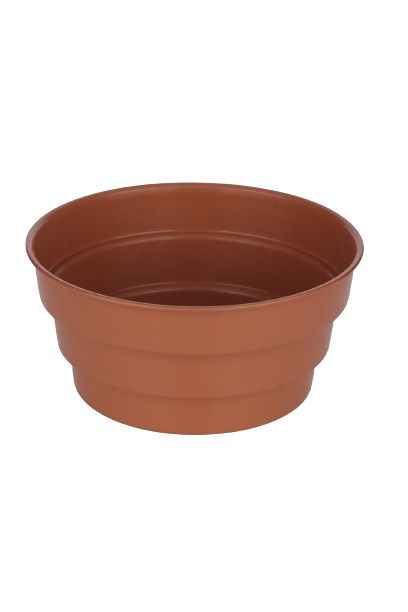 Misa (chryzantema) fi 17 cm Papowo Biskupie - zdjęcie 2
