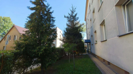 2 pokoje , ul. Parkowa / os. Mickiewicza Białystok - zdjęcie 11