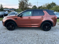 Land Rover Discovery Sport Super stan, zarejestrowany w Polsce Nowe Iganie - zdjęcie 8