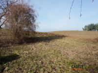 Działka z widokiem na jezioro! Sieraków - zdjęcie 9