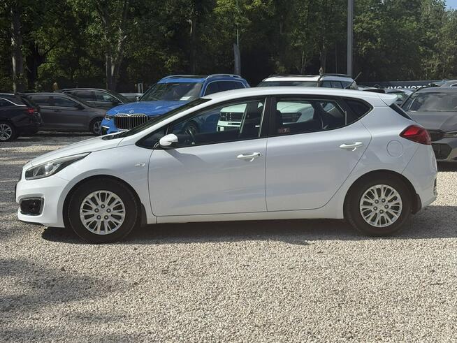 Kia Cee'd 1.4 100kM Salon Polska ! Bardzo dobry stan ! VAT 23% ! Pęcice - zdjęcie 6