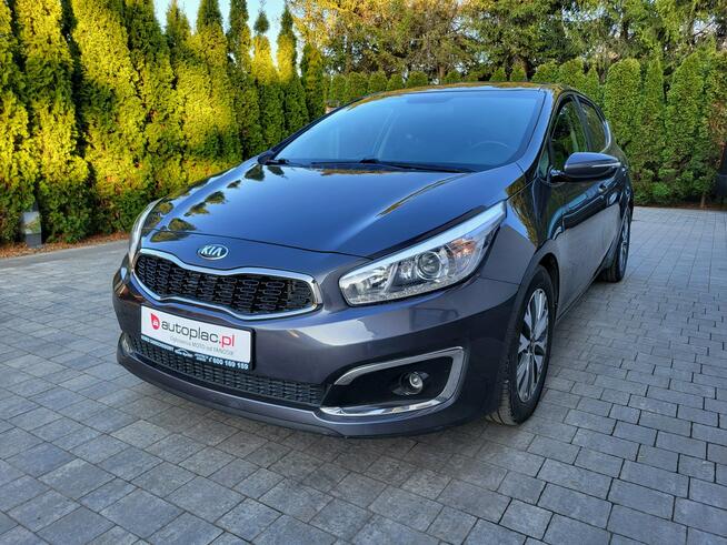 Kia Cee'd ** Lift Model  ** Nawigacja  ** Bezwypadkowy ** Jatutów - zdjęcie 1