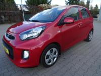 Kia Picanto Pierwsza rejestracja 2017 rok, bardzo mały przebieg! Łódź - zdjęcie 2