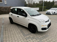 Fiat Panda !! Rezerwacja !! Orzech - zdjęcie 4