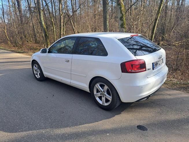 audia A3 1.6tdi / 2011rok/ jeden własciciel w kraju Zambrów - zdjęcie 3