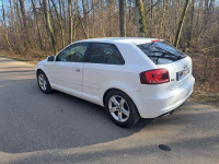 audia A3 1.6tdi / 2011rok/ jeden własciciel w kraju Zambrów - zdjęcie 3