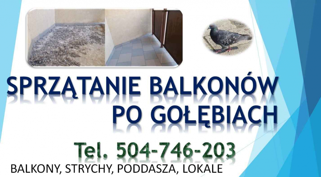 Czyszczenie po gołębiach, t. 504-746-203, sprzątanie ptasich odchodów Psie Pole - zdjęcie 8