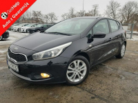 Kia Cee'd 1,4 Benzyna Klima Zarejestrowany Gwarancja