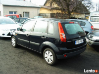 Ford Fiesta / salonowa / Września - zdjęcie 3