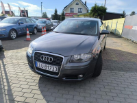 Audi A3 1.6 MPi 102KM AUTOMAT Klimatronic Łuków - zdjęcie 11