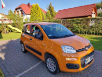 SPRZEDAM FIATA PADNĘ!!! Lubiatowo - zdjęcie 4