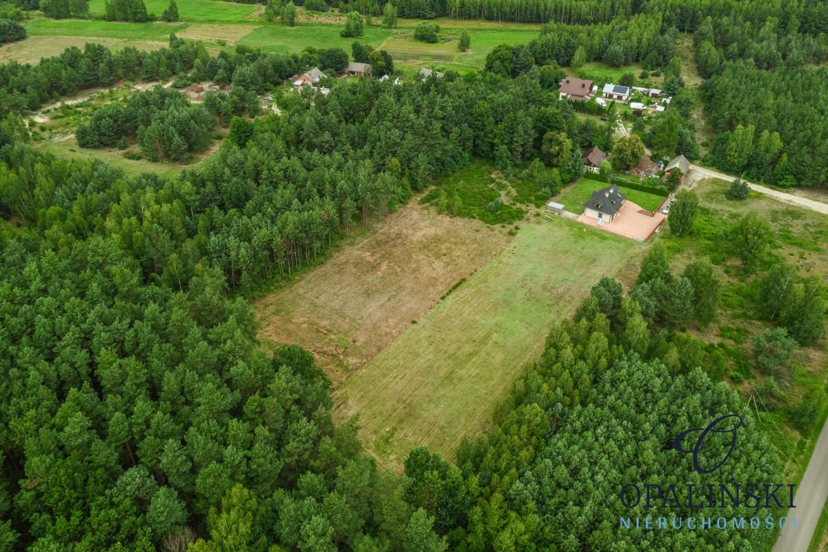 Spokojna okolica | 33,25 ar | Do zagospodarowania Poręby Dymarskie - zdjęcie 4