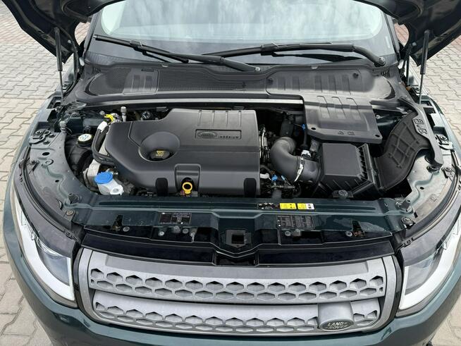 Land Rover Range Rover Evoque Zielona Łąka - zdjęcie 10