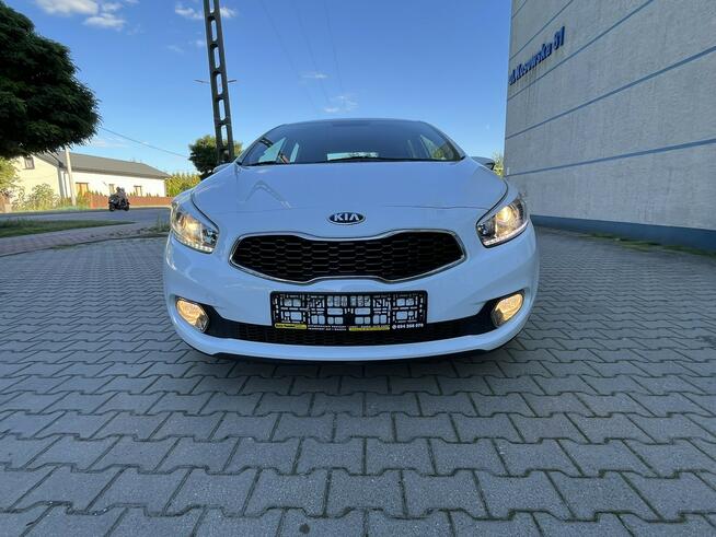 Kia Ceed II 1.6B 2013r Led Nawigacja Biała Perła 5-Drzwi Serwis Klima! Sokołów Podlaski - zdjęcie 9