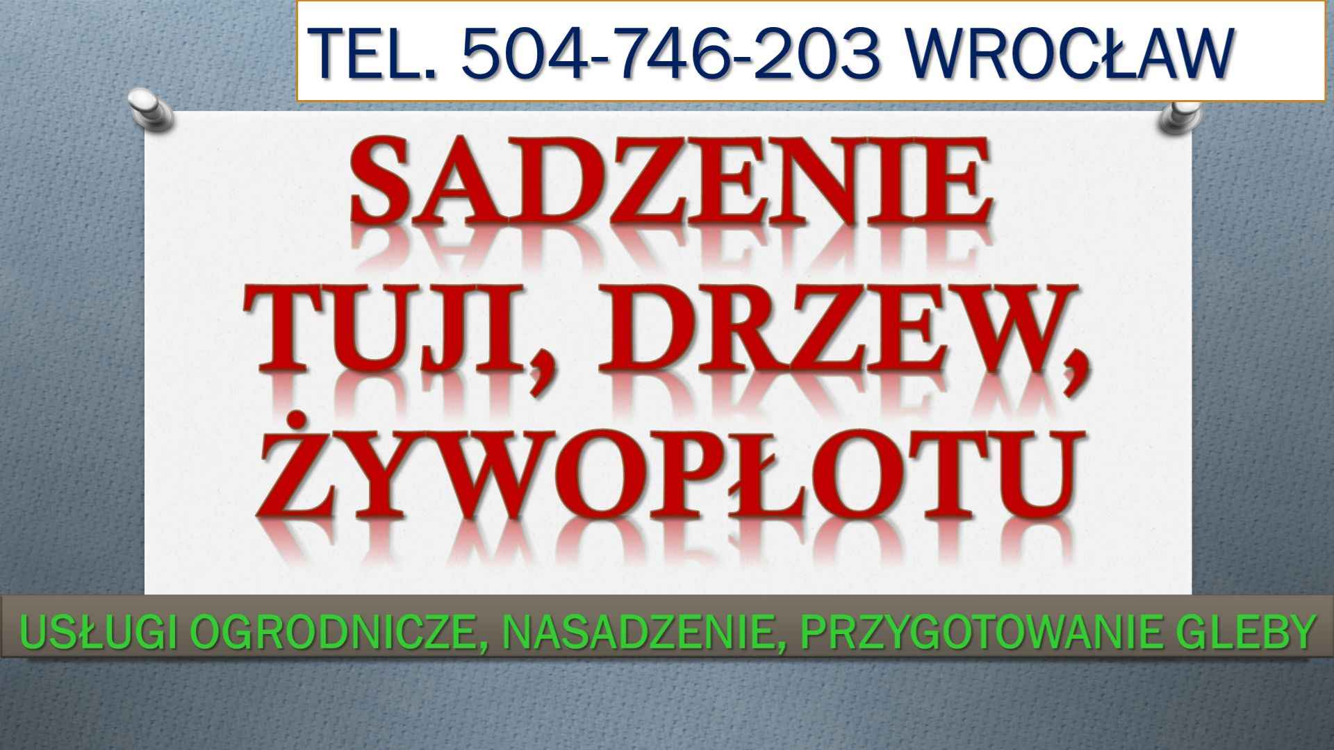 Nasadzenia tuje, Wrocław, tel. 504-746-203. Przygotowanie do posadzeni Psie Pole - zdjęcie 1
