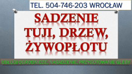 Nasadzenia tuje, Wrocław, tel. 504-746-203. Przygotowanie do posadzeni Psie Pole - zdjęcie 1