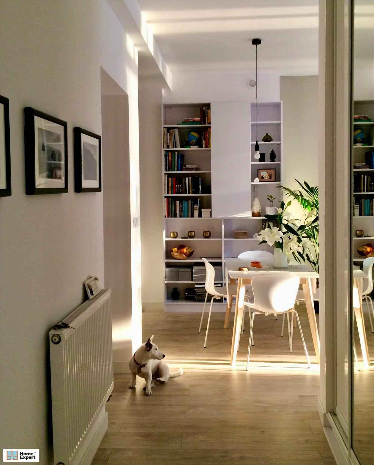 2pok, 50met, Okolice Parku Tołpy PIWNICA (Wrocław) Śródmieście - zdjęcie 6